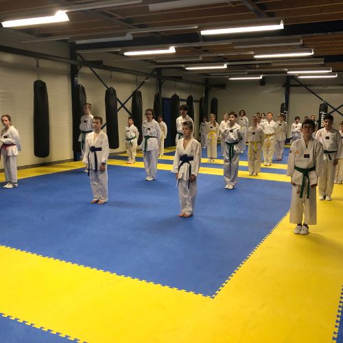 taekwondo-opstellen-groeten-taekwondo-oude-luttikhuis-almelo